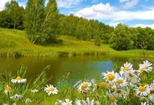 Photo of «Цветочное многообразие планеты»