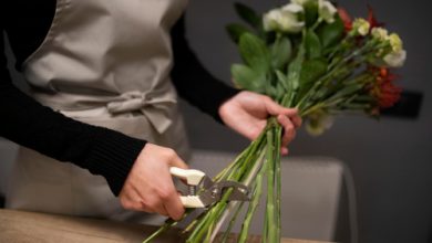 Photo of Секреты ухода за цветами